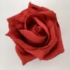Sample Bridal Rose Red
