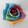 Sample Bridal Rose Rainbow