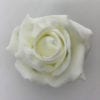 Sample Bridal Rose Ivory