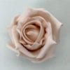 Sample Bridal Rose Blush Pink