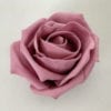 Sample Bridal Rose Dusky Pink