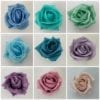 sample rose colours