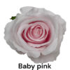 SILK ROSE BABY PINK